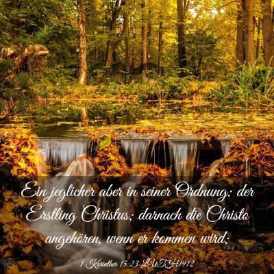 Picture 03 - 1 Korinther 15:23 LUTH1912 - Ein jeglicher aber in seiner Ordnung: der - Bible Verse Picture