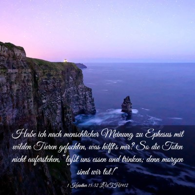 Picture 03 - 1 Korinther 15:32 LUTH1912 - Habe ich nach menschlicher Meinung zu Ephesus mit - Bible Verse Picture
