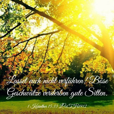 Picture 03 - 1 Korinther 15:33 LUTH1912 - Lasset euch nicht verführen! Böse Geschwätze - Bible Verse Picture