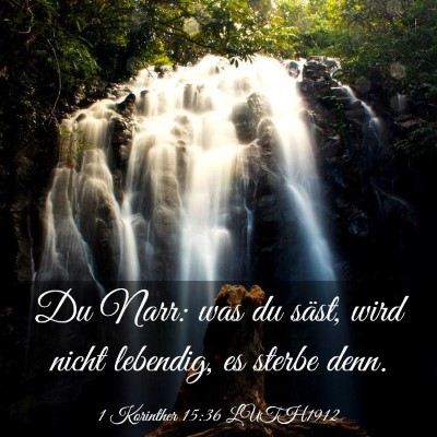 Picture 03 - 1 Korinther 15:36 LUTH1912 - Du Narr: was du säst, wird nicht lebendig, es - Bible Verse Picture