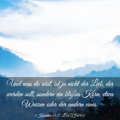 Picture 03 - 1 Korinther 15:37 LUTH1912 - Und was du säst, ist ja nicht der Leib, der - Bible Verse Picture