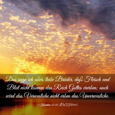 Picture 03 - 1 Korinther 15:50 LUTH1912 - Das sage ich aber, liebe Brüder, daß Fleisch - Bible Verse Picture