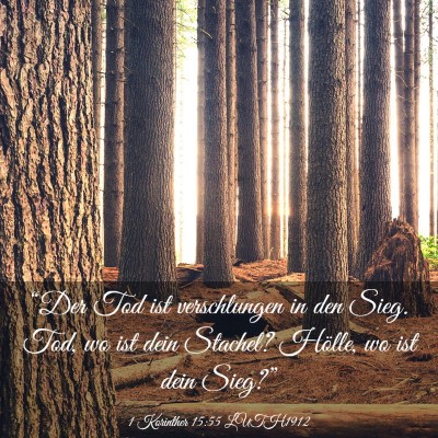 Picture 03 - 1 Korinther 15:55 LUTH1912 - “Der Tod ist verschlungen in den Sieg. Tod, wo - Bible Verse Picture