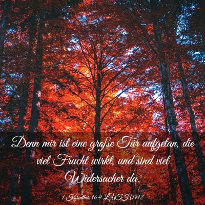 Picture 03 - 1 Korinther 16:9 LUTH1912 - Denn mir ist eine große Tür aufgetan, die viel - Bible Verse Picture