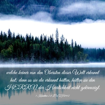 Picture 03 - 1 Korinther 2:8 LUTH1912 - welche keiner von den Obersten dieser Welt - Bible Verse Picture