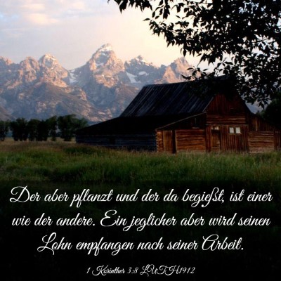 Picture 03 - 1 Korinther 3:8 LUTH1912 - Der aber pflanzt und der da begießt, ist einer - Bible Verse Picture
