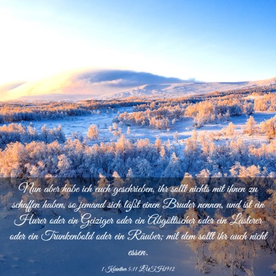 Picture 03 - 1 Korinther 5:11 LUTH1912 - Nun aber habe ich euch geschrieben, ihr sollt - Bible Verse Picture