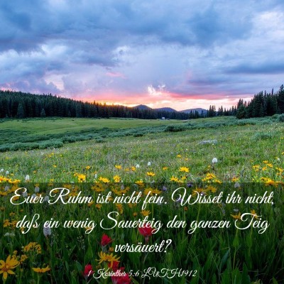 Picture 03 - 1 Korinther 5:6 LUTH1912 - Euer Ruhm ist nicht fein. Wisset ihr nicht, daß - Bible Verse Picture