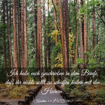 Picture 03 - 1 Korinther 5:9 LUTH1912 - Ich habe euch geschrieben in dem Briefe, daß ihr - Bible Verse Picture