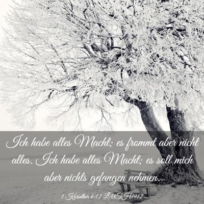 Picture 03 - 1 Korinther 6:12 LUTH1912 - Ich habe alles Macht; es frommt aber nicht alles. - Bible Verse Picture