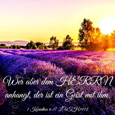Picture 03 - 1 Korinther 6:17 LUTH1912 - Wer aber dem HERRN anhangt, der ist ein Geist mit - Bible Verse Picture