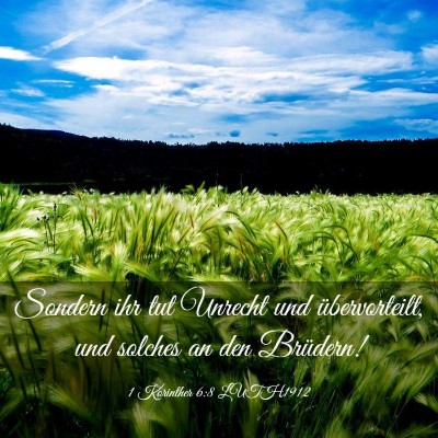 Picture 03 - 1 Korinther 6:8 LUTH1912 - Sondern ihr tut Unrecht und übervorteilt, und - Bible Verse Picture
