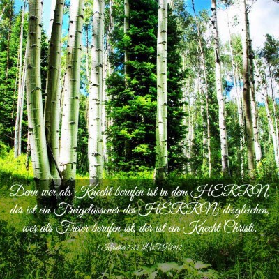 Picture 03 - 1 Korinther 7:22 LUTH1912 - Denn wer als Knecht berufen ist in dem HERRN, der - Bible Verse Picture
