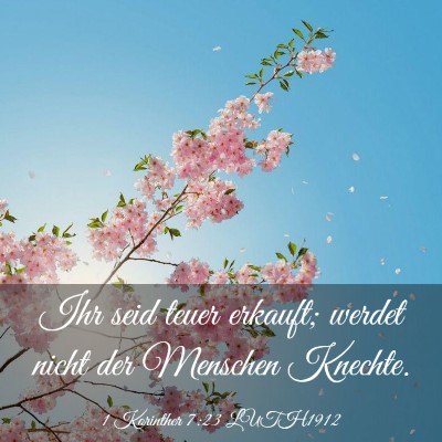 Picture 03 - 1 Korinther 7:23 LUTH1912 - Ihr seid teuer erkauft; werdet nicht der Menschen - Bible Verse Picture