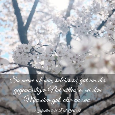 Picture 03 - 1 Korinther 7:26 LUTH1912 - So meine ich nun, solches sei gut um der - Bible Verse Picture