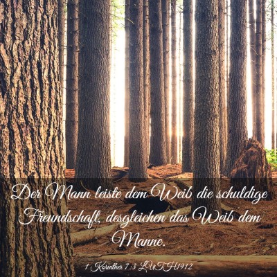 Picture 03 - 1 Korinther 7:3 LUTH1912 - Der Mann leiste dem Weib die schuldige - Bible Verse Picture
