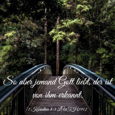 Picture 03 - 1 Korinther 8:3 LUTH1912 - So aber jemand Gott liebt, der ist von ihm - Bible Verse Picture