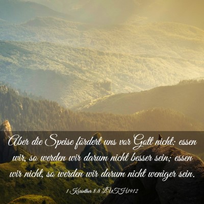 Picture 03 - 1 Korinther 8:8 LUTH1912 - Aber die Speise fördert uns vor Gott nicht: - Bible Verse Picture