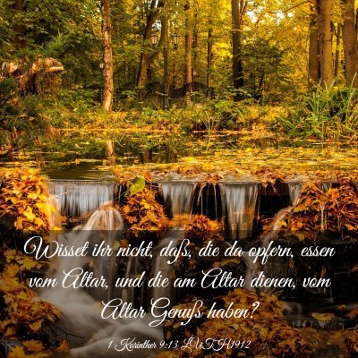 Picture 03 - 1 Korinther 9:13 LUTH1912 - Wisset ihr nicht, daß, die da opfern, essen vom - Bible Verse Picture