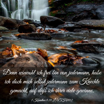 Picture 03 - 1 Korinther 9:19 LUTH1912 - Denn wiewohl ich frei bin von jedermann, habe ich - Bible Verse Picture