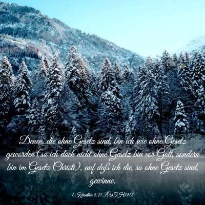 Picture 03 - 1 Korinther 9:21 LUTH1912 - Denen, die ohne Gesetz sind, bin ich wie ohne - Bible Verse Picture