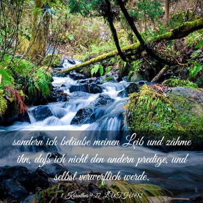 Picture 03 - 1 Korinther 9:27 LUTH1912 - sondern ich betäube meinen Leib und zähme ihn, - Bible Verse Picture