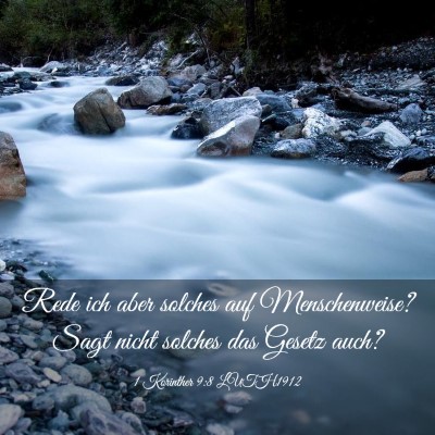 Picture 03 - 1 Korinther 9:8 LUTH1912 - Rede ich aber solches auf Menschenweise? Sagt - Bible Verse Picture