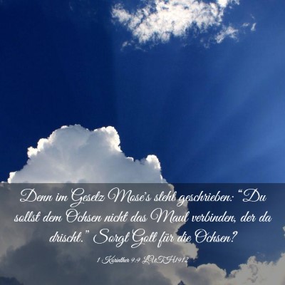 Picture 03 - 1 Korinther 9:9 LUTH1912 - Denn im Gesetz Mose's steht geschrieben: “Du - Bible Verse Picture