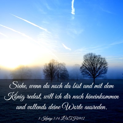 Picture 03 - 1 Könige 1:14 LUTH1912 - Siehe, wenn du noch da bist und mit dem König - Bible Verse Picture