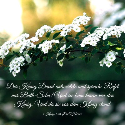 Picture 03 - 1 Könige 1:28 LUTH1912 - Der König David antwortete und sprach: Rufet mir - Bible Verse Picture