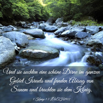 Picture 03 - 1 Könige 1:3 LUTH1912 - Und sie suchten eine schöne Dirne im ganzen - Bible Verse Picture