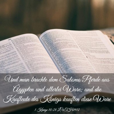 Picture 03 - 1 Könige 10:28 LUTH1912 - Und man brachte dem Salomo Pferde aus Ägypten - Bible Verse Picture