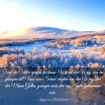 Picture 03 - 1 Könige 13:12 LUTH1912 - Und ihr Vater sprach zu ihnen: Wo ist der Weg, - Bible Verse Picture