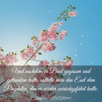 Picture 03 - 1 Könige 13:23 LUTH1912 - Und nachdem er Brot gegessen und getrunken hatte, - Bible Verse Picture