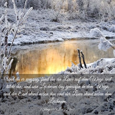Picture 03 - 1 Könige 13:24 LUTH1912 - Und da er wegzog, fand ihn ein Löwe auf dem Wege - Bible Verse Picture
