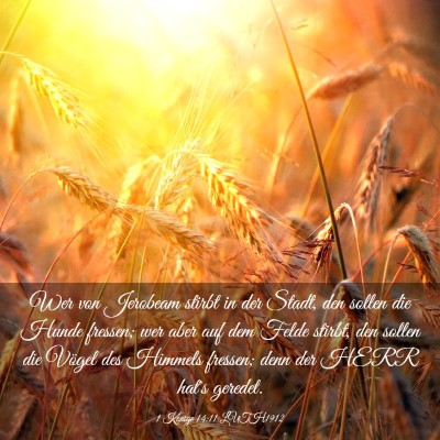 Picture 03 - 1 Könige 14:11 LUTH1912 - Wer von Jerobeam stirbt in der Stadt, den sollen - Bible Verse Picture