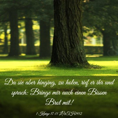 Picture 03 - 1 Könige 17:11 LUTH1912 - Da sie aber hinging, zu holen, rief er ihr und - Bible Verse Picture