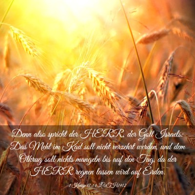 Picture 03 - 1 Könige 17:14 LUTH1912 - Denn also spricht der HERR, der Gott Israels: Das - Bible Verse Picture