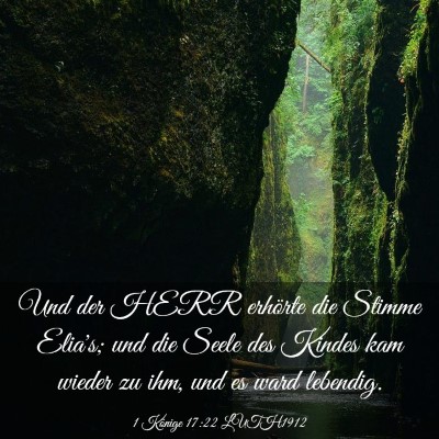 Picture 03 - 1 Könige 17:22 LUTH1912 - Und der HERR erhörte die Stimme Elia's; und die - Bible Verse Picture