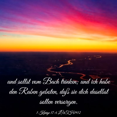 Picture 03 - 1 Könige 17:4 LUTH1912 - und sollst vom Bach trinken; und ich habe den - Bible Verse Picture