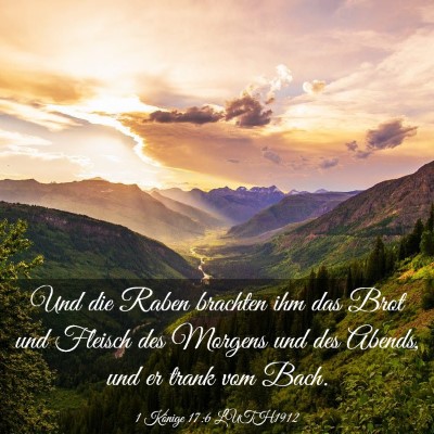 Picture 03 - 1 Könige 17:6 LUTH1912 - Und die Raben brachten ihm das Brot und Fleisch - Bible Verse Picture