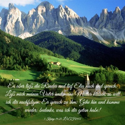 Picture 03 - 1 Könige 19:20 LUTH1912 - Er aber ließ die Rinder und lief Elia nach und - Bible Verse Picture