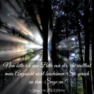 Picture 03 - 1 Könige 2:16 LUTH1912 - Nun bitte ich eine Bitte von dir; du wolltest - Bible Verse Picture