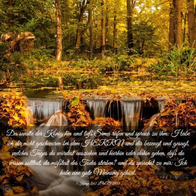 Picture 03 - 1 Könige 2:42 LUTH1912 - Da sandte der König hin und ließ Simei rufen - Bible Verse Picture