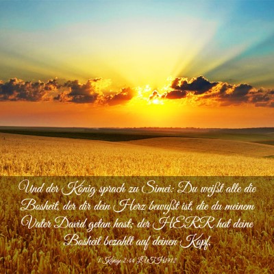 Picture 03 - 1 Könige 2:44 LUTH1912 - Und der König sprach zu Simei: Du weißt alle - Bible Verse Picture