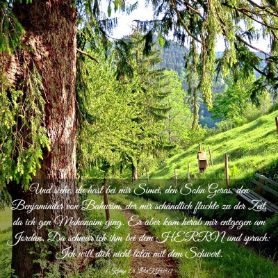 Picture 03 - 1 Könige 2:8 LUTH1912 - Und siehe, du hast bei mir Simei, den Sohn Geras, - Bible Verse Picture