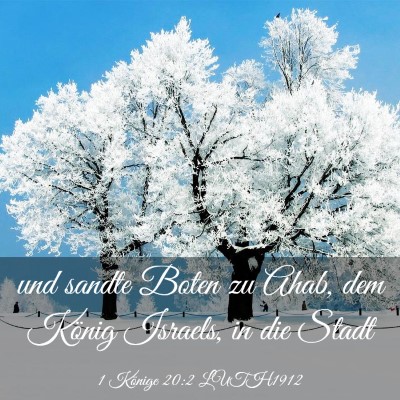 Picture 03 - 1 Könige 20:2 LUTH1912 - und sandte Boten zu Ahab, dem König Israels, in - Bible Verse Picture