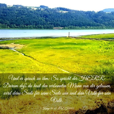 Picture 03 - 1 Könige 20:42 LUTH1912 - Und er sprach zu ihm: So spricht der HERR: Darum - Bible Verse Picture