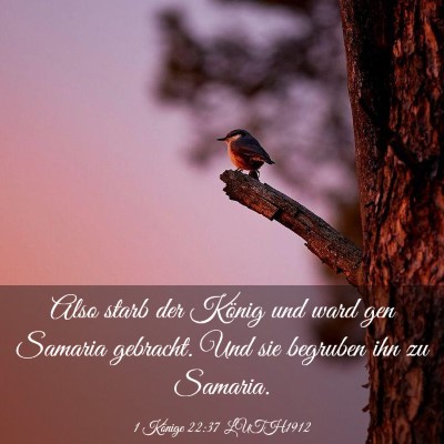 Picture 03 - 1 Könige 22:37 LUTH1912 - Also starb der König und ward gen Samaria - Bible Verse Picture
