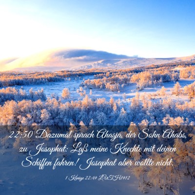 Picture 03 - 1 Könige 22:49 LUTH1912 - 22:50 Dazumal sprach Ahasja, der Sohn Ahabs, zu - Bible Verse Picture